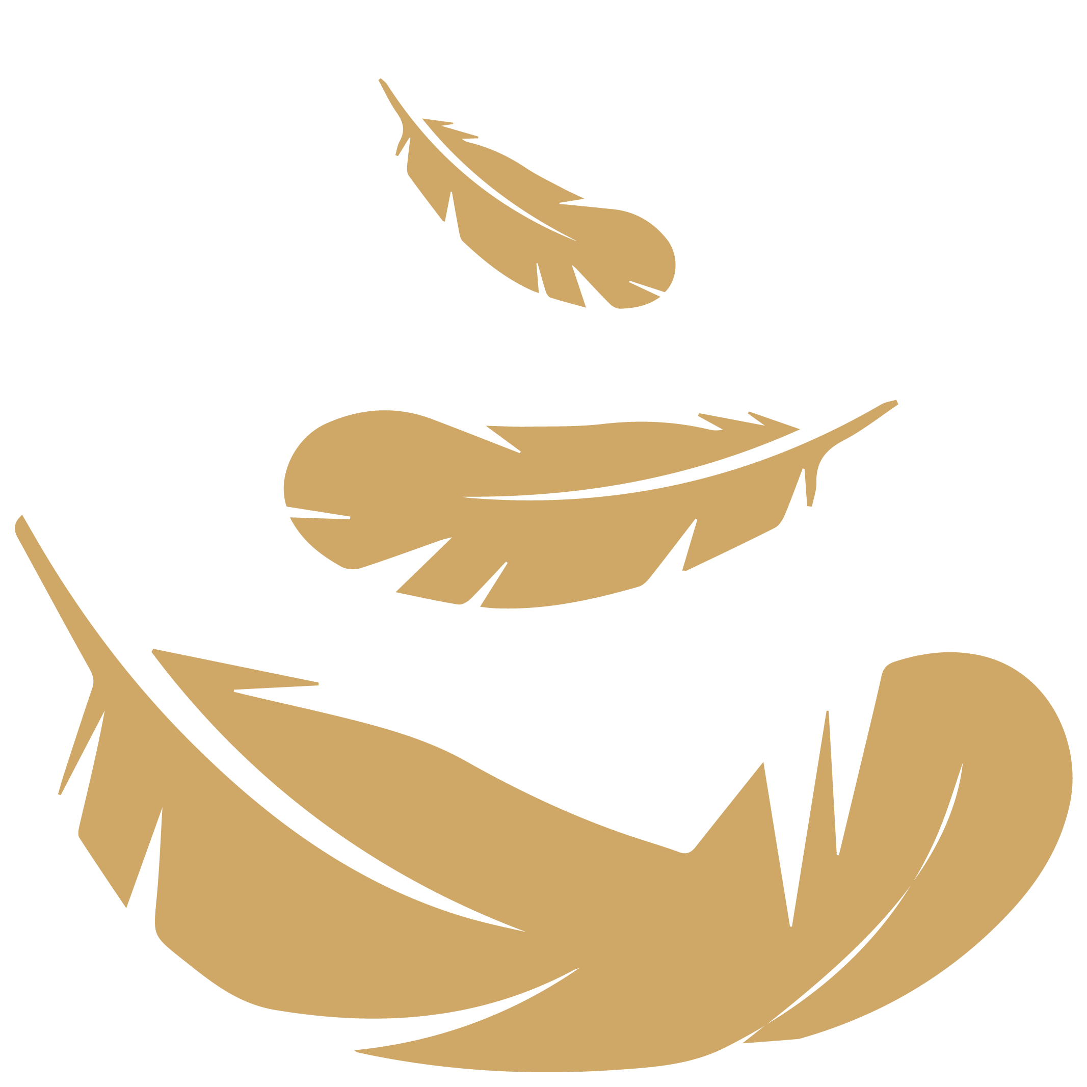 العناية بالمناطق الحساسه